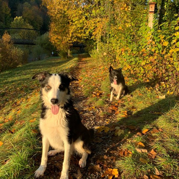 WhatsApp Image 2025-01-10 at 15.16.34